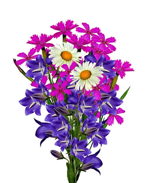 Bouquet of daisies, bluebells and clove isolated on white backgr — Stock Photo, Image