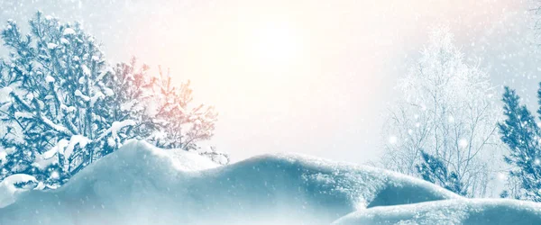 Замороженный Зимний Лес Заснеженными Деревьями Открытый — стоковое фото