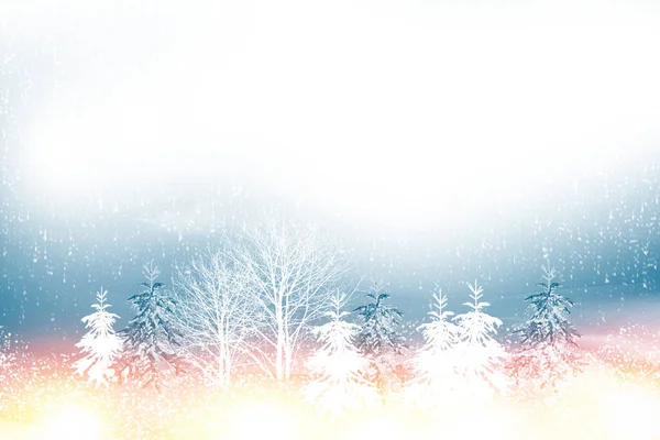 Fryst Vinterskog Med Snötäckta Träd Utomhus Gratulationskort — Stockfoto