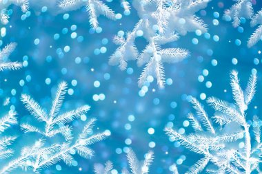 Kar, arka planda köknar dalını kaplamıştı. Tebrik kartı.