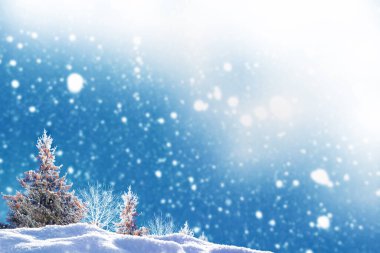 Karla kaplı ağaçlarla donmuş kış ormanı. Açık hava