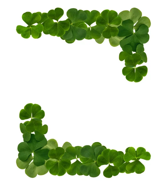 Lucky Irish Four Leaf Clover Voor Patricks Day Geïsoleerd Witte — Stockfoto