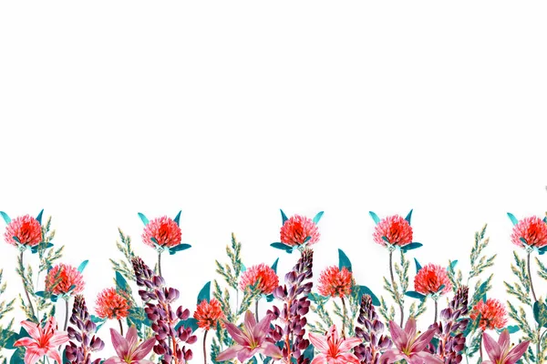 Квітковий Фон Дикі Квіти Ізольовані Білому Тлі Букет Квітів Природа — стокове фото
