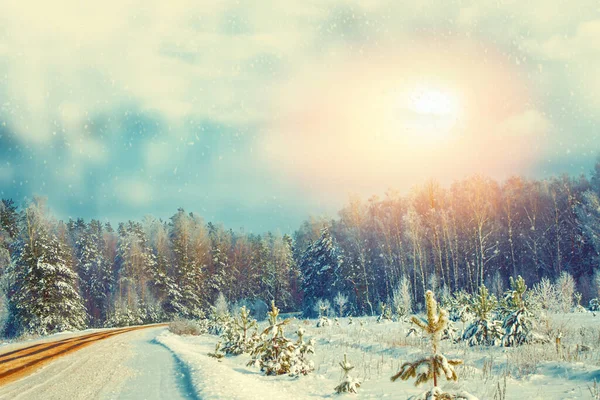 Gefrorener Winterwald Mit Schneebedeckten Bäumen Draußen Straße — Stockfoto