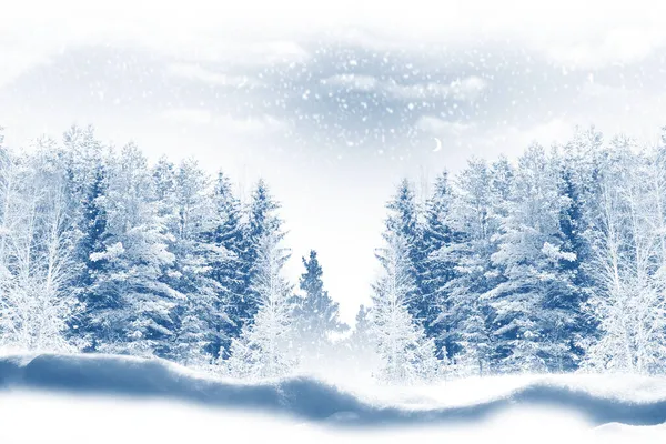 Замороженный Зимний Лес Заснеженными Деревьями Открытый Стоковая Картинка
