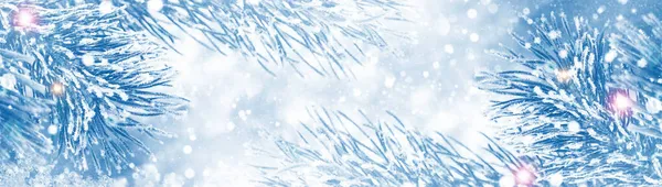 Замороженный Зимний Лес Заснеженными Деревьями Хвойная Ель Ветви Открытый — стоковое фото