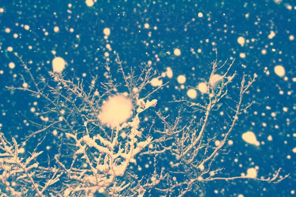 Zware Sneeuwval Een Sneeuwstorm Bevroren Winterbos Met Besneeuwde Bomen Buiten — Stockfoto