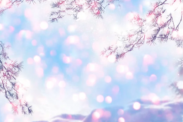 Karácsonyfa Hóban Üdvözlőlap Tél — Stock Fotó