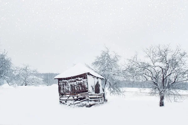 Χειμερινό Τοπίο Ρουστίκ Ξύλινο Σπίτι Στο Δάσος Καλυμμένο Χιόνι — Φωτογραφία Αρχείου
