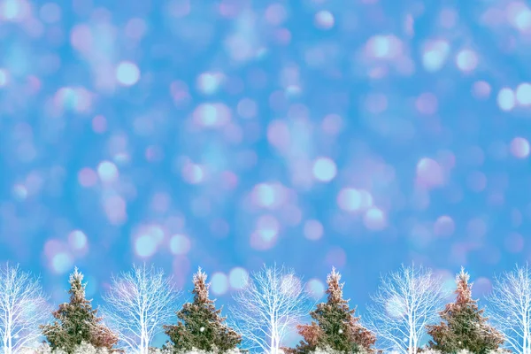 Gefrorener Winterwald Mit Schneebedeckten Bäumen Draußen Grußkarte — Stockfoto