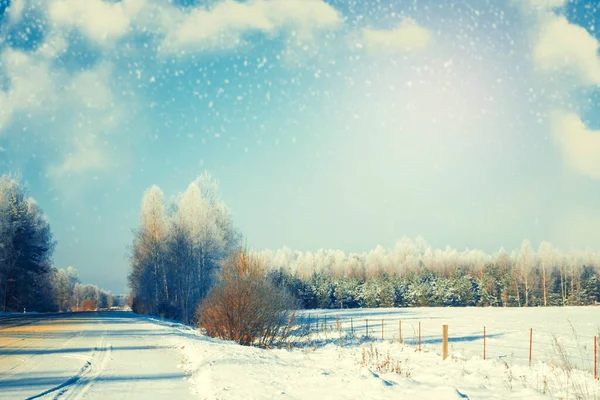 Дорога Зимнем Лесу Замороженный Зимний Лес Заснеженными Деревьями Открытый — стоковое фото