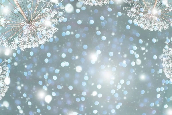 Erba Congelata Offuscata Sfondo Astratto Invernale Paesaggio All Aperto — Foto Stock