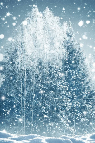 Floresta Inverno Congelada Com Árvores Cobertas Neve Exterior — Fotografia de Stock