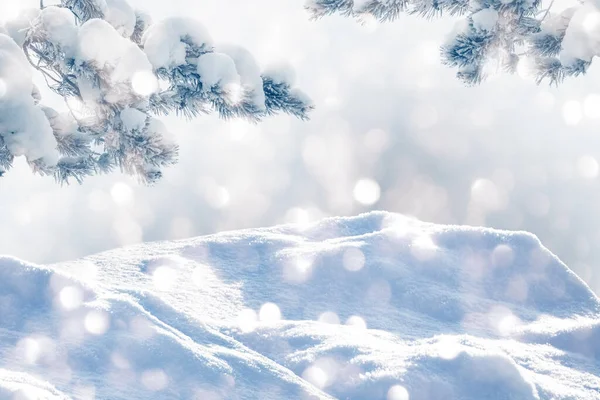 Mrożony Las Zimowy Pokrytymi Śniegiem Drzewami Gałąź Świerku Iglastego Zewnątrz — Zdjęcie stockowe