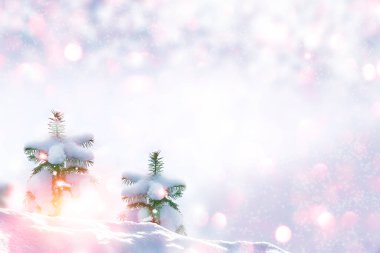 Karla kaplı ağaçlarla donmuş kış ormanı. Açık hava