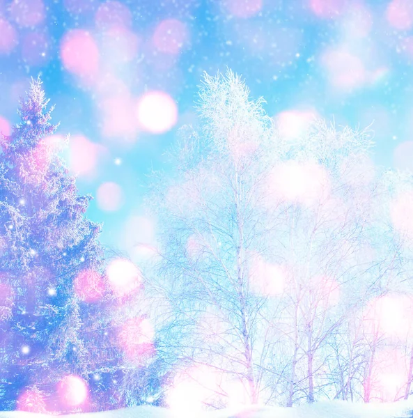 Gefrorener Winterwald Mit Schneebedeckten Bäumen Außenbereich — Stockfoto