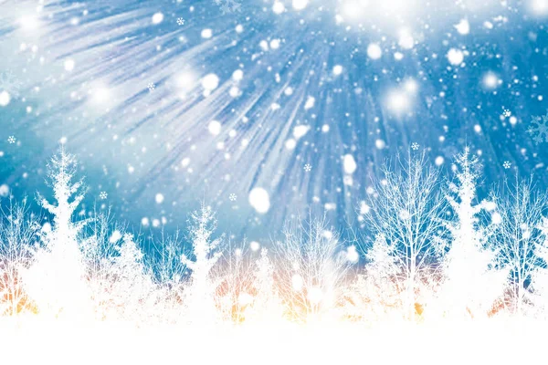 Frozen Winter Forest Snow Covered Trees Outdoor New Year Card — Fotografia de Stock