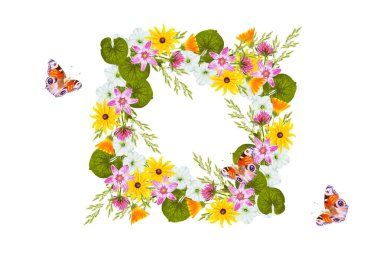 Güzel çiçeklerin çerçevesi. Çiçek arkaplan. Beyaz arka planda yaban çiçekleri. Bir buket çiçek. Doğa 