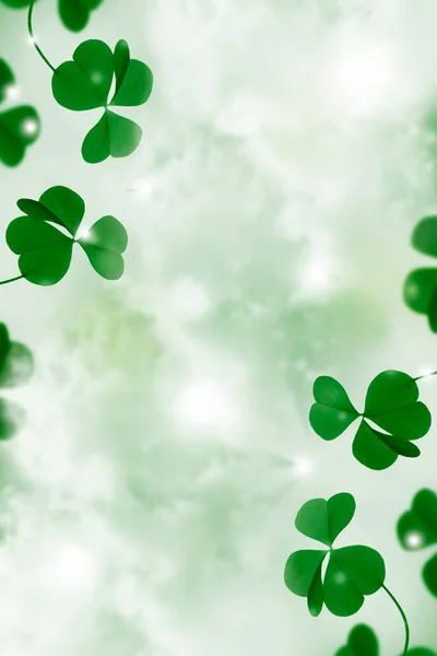 Зеленые Листья Клевера День Святого Патрика Весенний Фон — стоковое фото