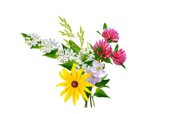 Fondo Floral Flores Silvestres Aisladas Sobre Fondo Blanco Ramo Flores — Foto de Stock