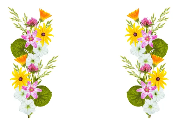 Fundo Floral Flores Silvestres Isoladas Sobre Fundo Branco Buquê Flores — Fotografia de Stock