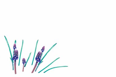 Tebrik kartı. Beyaz arka planda yalıtılmış bahar çiçekleri. Çiçek koleksiyonu. 