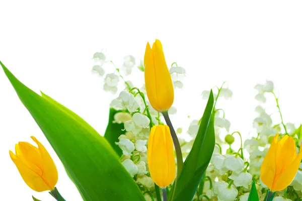 Wenskaart Lentebloemen Tulpen Geïsoleerd Witte Achtergrond Bloemenverzameling — Stockfoto