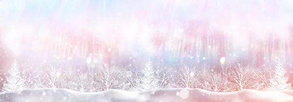 Floresta Inverno Congelada Com Árvores Cobertas Neve Livre Natal Cartão — Fotografia de Stock