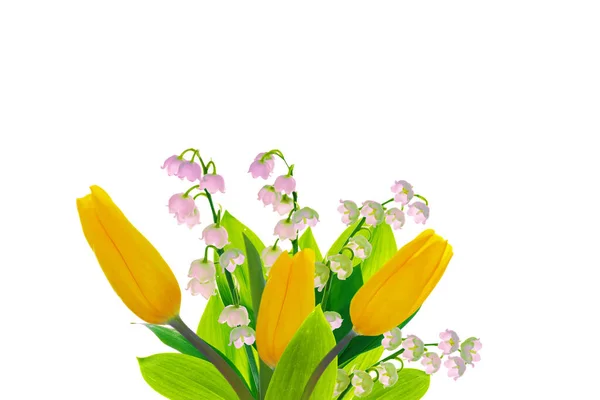Kartka Życzeniami Wiosenne Kwiaty Tulipany Izolowane Białym Tle Zbiory Kwiatowe — Zdjęcie stockowe