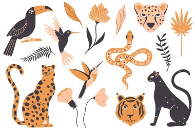 Tropik egzotik hayvanlar, kuşlar ve bitkiler. Leopar, panter, kaplan, sinekkuşu, yılan, tukan, kır çiçekleri ve yapraklar. Vektör çizimi. Ormandaki hayvanlar ve bitkiler, yağmur ormanları. Vahşi yaşam