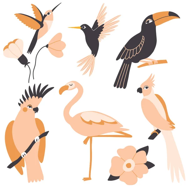 Exotic birds and plants set. Parrot, hummingbird, flamingo, toucan, wild flowers. Vector illustration. Animals and plants in the jungle, rainforest. Nature wildlife collection. Tropical paradise