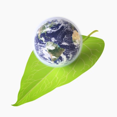 Earth on Green Leaf clipart
