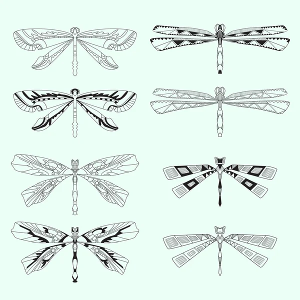 Ensemble vectoriel de libellules — Image vectorielle
