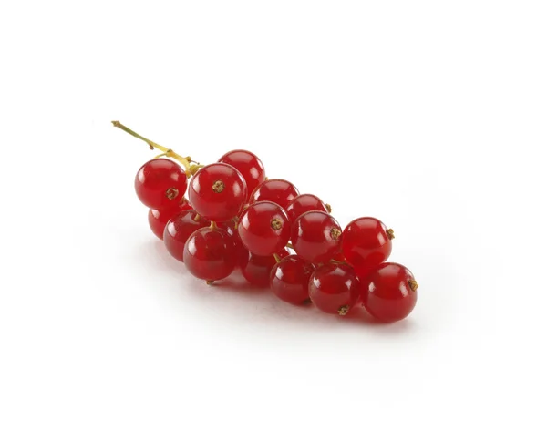 Currant — Stock Photo, Image