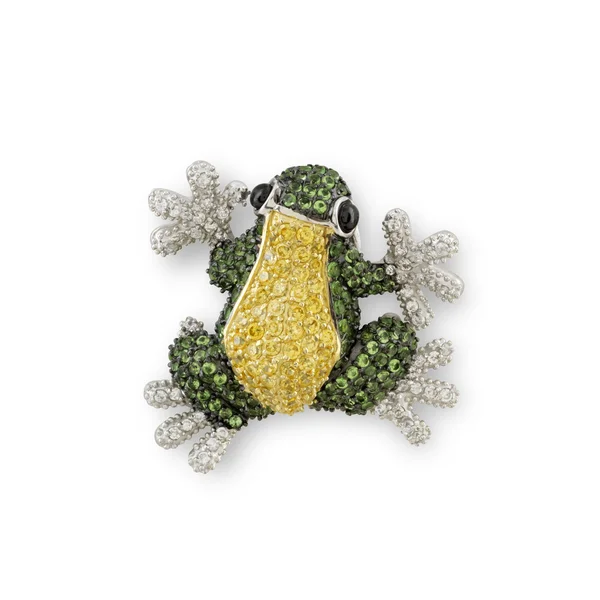 珠宝首饰的青蛙 — 图库照片