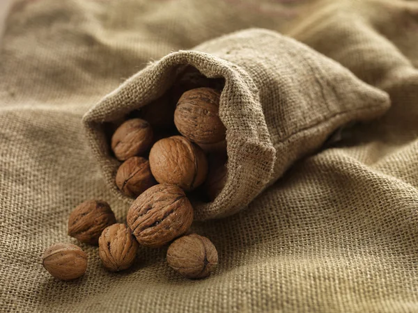 Walnuts — Stock Photo, Image