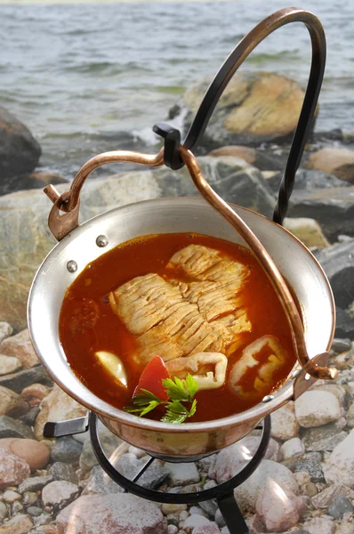 Vis chowder uit Hongarije (Balaton meer) Rechtenvrije Stockfoto's