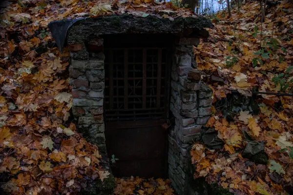 Sonbahar ormanında terk edilmiş eski bir mahzene giriyoruz.