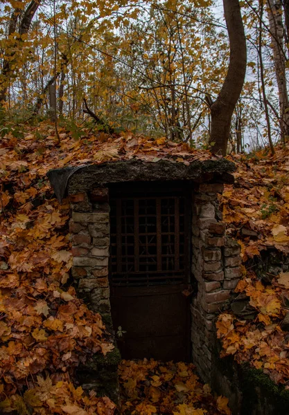 秋天森林里一个废弃的旧地窖的入口 — 图库照片