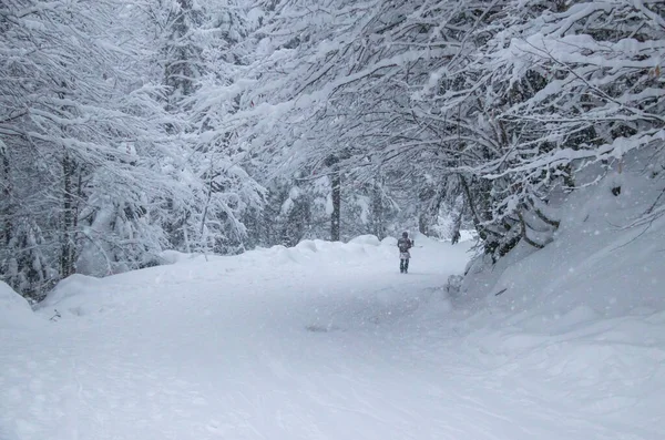 Queda Neve Encosta Esqui Florestal — Fotografia de Stock