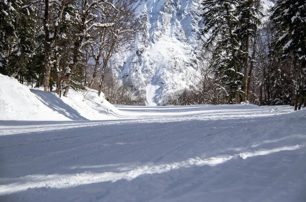 Bos Skipiste Een Zonnige Dag — Stockfoto