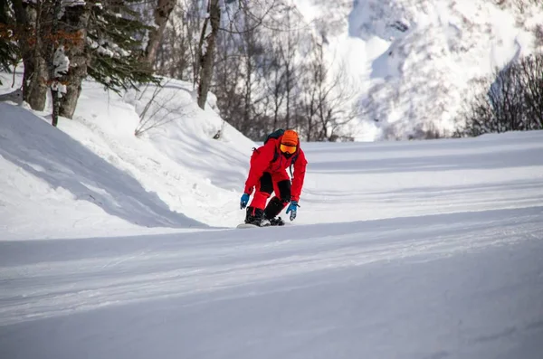 Snowboarder Jumpsuit Vermelho Monta Longo Uma Trilha Florestal Nas Montanhas — Fotografia de Stock