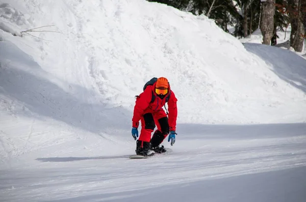 Snowboardeur Combinaison Rouge Parcourt Une Piste Forestière Montagne — Photo