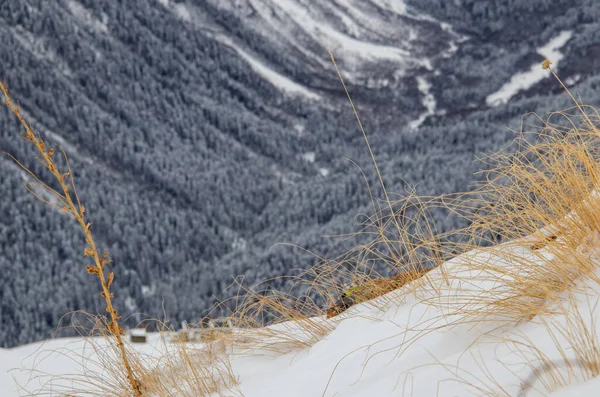 Χιονισμένα Βουνά Γκρεμός Βράχο Και Κίτρινο Αποξηραμένο Γρασίδι — Φωτογραφία Αρχείου