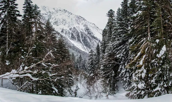 Βουνό Ποτάμι Μια Δασική Χαράδρα Χειμώνα — Φωτογραφία Αρχείου