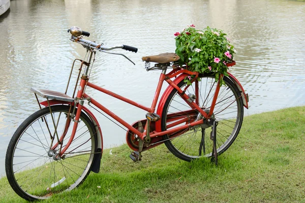 Vélo et fleurs . — Photo