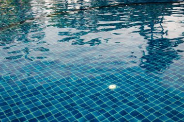 Yüzme Havuzu