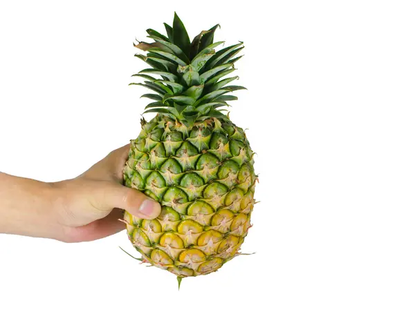 Ananas — Zdjęcie stockowe