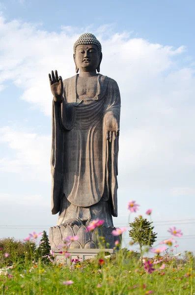 Berdiri Buddha — Stok Foto