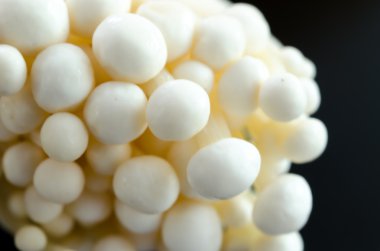 Altın iğne mantar.